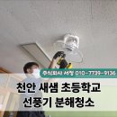 새샘초등학교 이미지