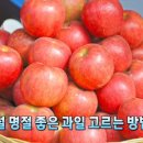 과일팡