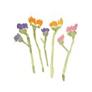 오감통 실내공연장 이미지