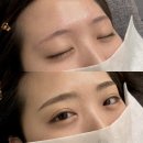 눈민정음