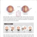 성모요양보호사교육원 - 부평구 광장로24번길 13 | 성모요양보호사교육원