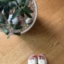 까멜리아 플라워 | [최저가] 지압 실내화 , 플라워 지압 거실화 &gt; 까멜리아 슬리퍼