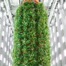 연중농장 이미지