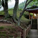 마을회관 정자옆 이미지