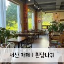 포토시그니처서산 | [ 서산 카페 | 흰당나귀 ] 한우목장 근처, 산책하기 좋은 사방이 푸르른 힐링 카페 추천