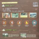 30. 아이와 대전 무료 계곡 수영장 물놀이 여행 8 (상소동 산림욕장, 상소문화공원 오토캠핑장 )
