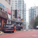 명태천국명태조림감자탕