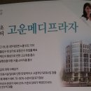 고운메디프라자 이미지