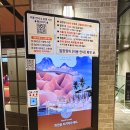Busan-Infi | 부산 해운대 스파 추천｜클럽디오아시스 스파&amp;워터파크 가족 나들이 후기