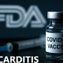 믿고 싶지 않은 폭탄선언: 이미지