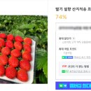 강릉원예사 네이버블로그