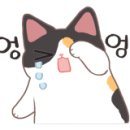 팡팡피씨