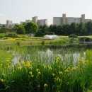 태광컨트리클럽 이미지