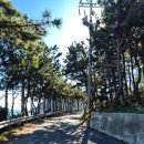 백운대교 건너서 좌측 | [올레18-1,2] 추자도 트레킹