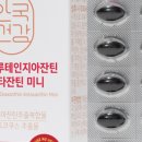 프로아이원