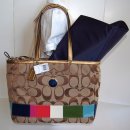 COACH 코치 15587 SIGNATURE MULTI STRIPE DIAPER BAG 이미지