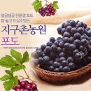 지구촌농원 이미지