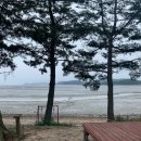 태안 머드캠프 펜션 이미지