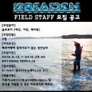솔트필드 이미지
