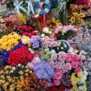 예림화원 이미지