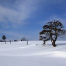 비에이 카카오 검색결과