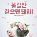 참사랑안경 이미지