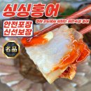 싱싱수산 이미지