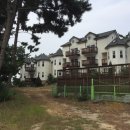 몽산포베네치아펜션&카페아카데미 | 태안 몽산포 펜션들 사진