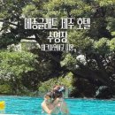 호텔 메종 | 메종글래드 제주 호텔 수영장 후기 (체크아웃 후 이용, 운영시간, 스낵바 메뉴, 선베드)