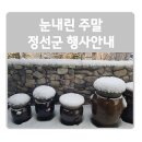 신동읍행정복지센터 신동테니스장 | ♡ 눈내린주말 정선군 행사안내 ♡