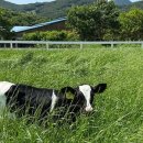 송림목장 이미지