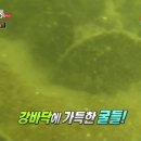 청아수산 이미지