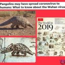 코로나 19 사태를 예견한 2019 이코노미스트 커버에 등장하는 Pangolin, Panda, Pandemic 그리고 바포멧 이미지