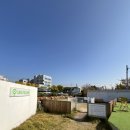 폴유치원 | 대구 동구 애견카페 천연잔디와 인조잔디 운동장이 있는 폴인80