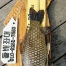 고삼닷컴