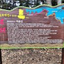상덕새마을
