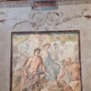 베티하우스 이미지