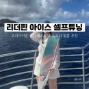 프리다이빙 입문용 롱핀 「 리더핀 아이스 셀프튜닝 」 오로라 필름 오리지널 블루