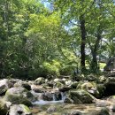 우리할매떡볶이 제천점 이미지