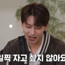 캐럿됨 이미지