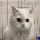 서울특별시 관악구 신사동주민센터 이미지