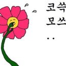 블랑네일