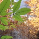 서면愛굴다리벤치길- 이미지