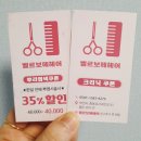 부천 염색 전문/신중동 벨르보떼헤어 방문 후기