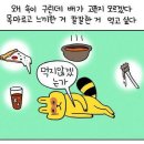 연화양꼬치 이미지