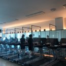 바디소나타 이미지