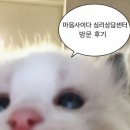 오늘마음상담센터 | 광주 봉선동 심리상담센터 상담 후기 [마음사이다]