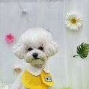 멍소담 이미지