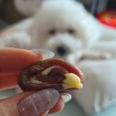 댕스터 셰프 이미지