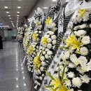 좋아요를 부르는 인스타그램 사용법 이미지